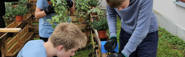 Торопитесь! Начинается приём заявлений в летние трудовые отряды