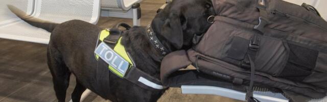 От электроники до снегоходов „в Казахстан“: что пытаются провезти через эстонскую границу 