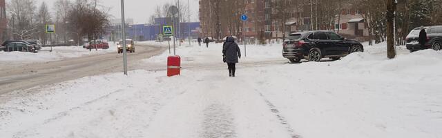 Вопросы читателей по благоустройству и уборке Нарвы