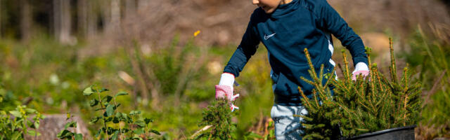 RMK ждет предложений по проекту плана развития