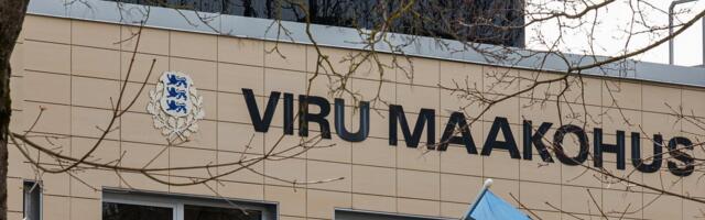 В Эстонии мужчину приговорили к 13 годам тюрьмы за изнасилование ребенка в общественном месте