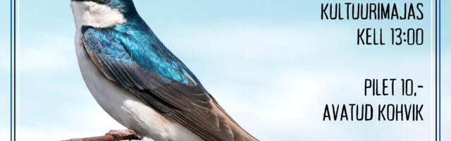 Афиша выходного дня: мероприятия в Тарту и окрестностях