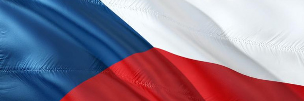 Эстония выделит Чехии 50 тыс. евро на борьбу с коронавирусом