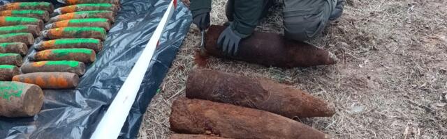 Сапёры обнаружили в Южной Эстонии более 50 взрывоопасных предметов
